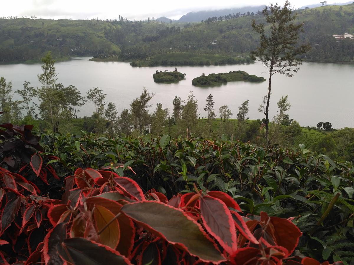 Dam House Hotel Maskeliya Buitenkant foto